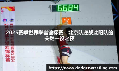 2025赛季世界攀岩锦标赛：北京队迎战沈阳队的关键一役之夜